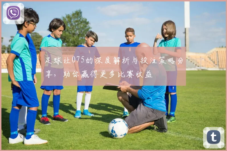 足球让075的深度解析与投注策略分享，助你赢得更多比赛收益