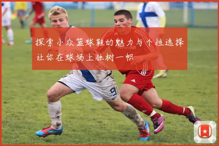 探索小众篮球鞋的魅力与个性选择让你在球场上独树一帜