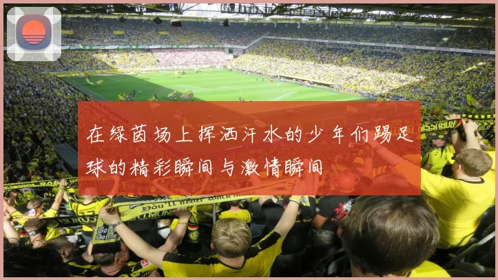 在绿茵场上挥洒汗水的少年们踢足球的精彩瞬间与激情瞬间